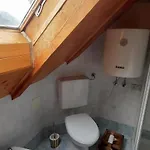 Cjasa Da Puci Apartment Ovaro