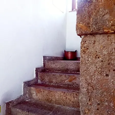 Cjasa Da Puci