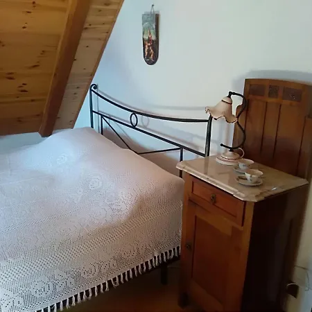 Cjasa Da Puci *