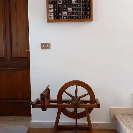 Cjasa Da Puci *