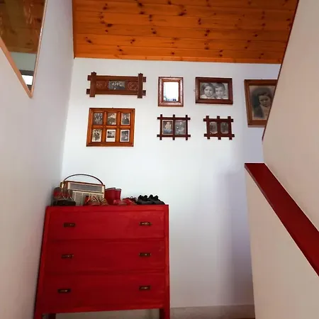 Cjasa Da Puci Ovaro