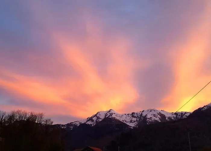 Apartment Cjasa Da Puci *